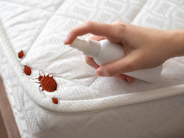 Best Residential Pest Control  in Carrollton, OH